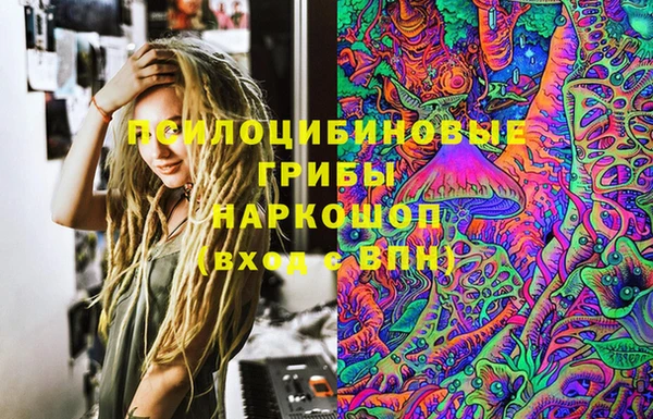 гидра Лихославль