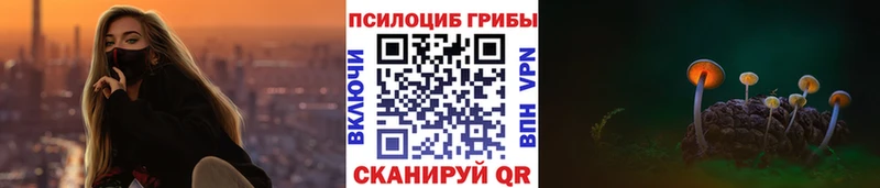 Псилоцибиновые грибы мухоморы  Купить закладки  Бакал 